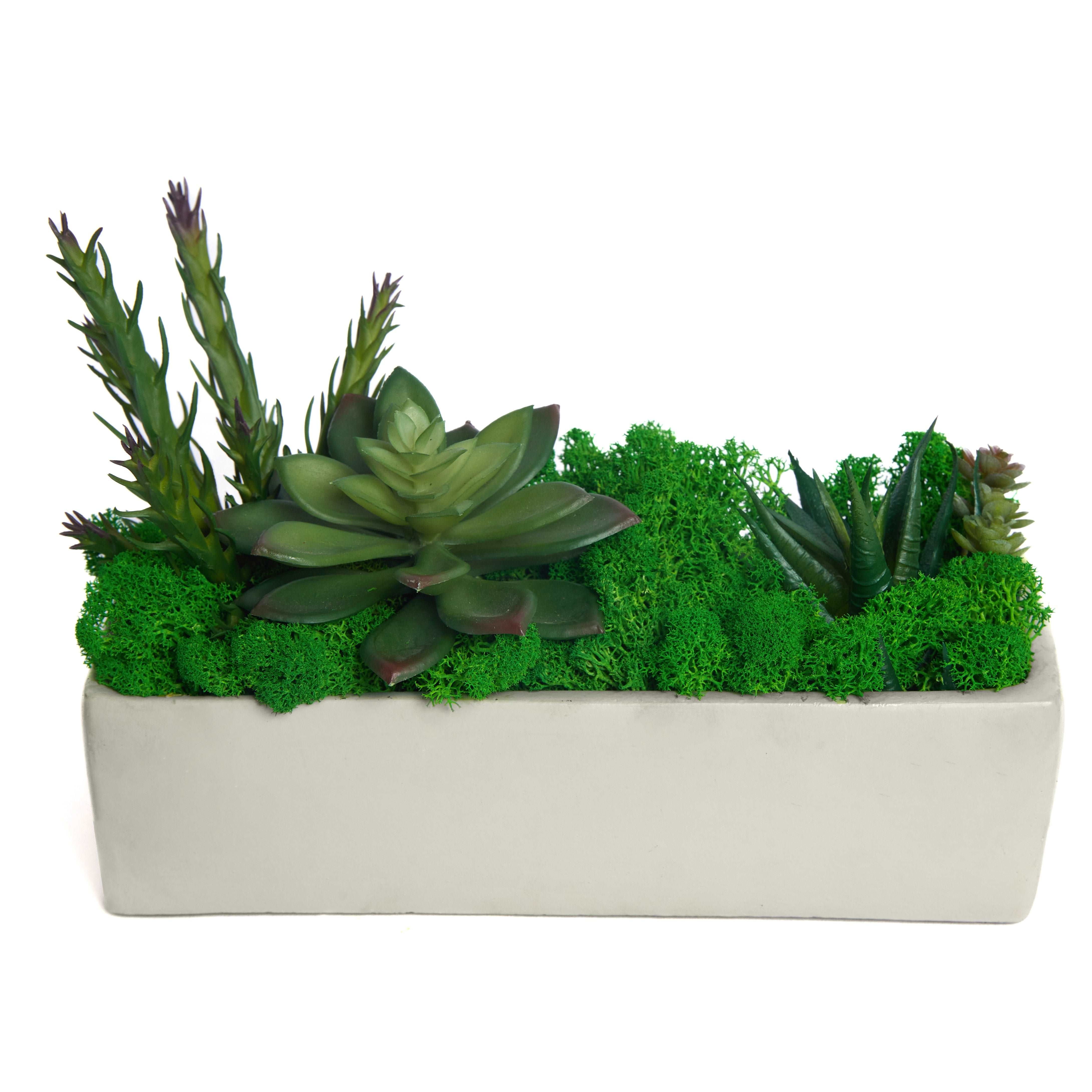 Succulent Moss Desktop Rectangular Bonsai - Faux Succulent and Moss Arrangement