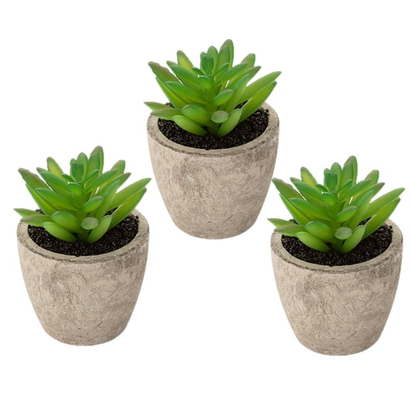 LIOOBO Assorted Color Fake Succulent Plant Ornament for Home and Office Decoration PVC Material 3 Pcs Set