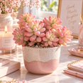thumbnail image 1 of Succulent Plant Bare Root,Low Maintenance-Decoration, Ideal for Beds Borders, Plant Pots & Planters`, 1 of 6
