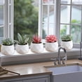 thumbnail image 1 of Artificial Succulent Plants in Pots, Faux Plant Decor for Office Desk & Home, No Watering Fake Greenery, Indoor Decor Gift, 1 of 9