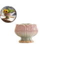 thumbnail image 1 of Succulent Plant Pot Gradient Petals Pattern Flower Pot Ceramic Planter for Cactus Plants Container Bonsai Pots with Drainage Hole for Home Decor, 1 of 6