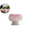 thumbnail image 1 of Succulent Plant Pot Gradient Petals Pattern Flower Pot Ceramic Planter for Cactus Plants Container Bonsai Pots with Drainage Hole for Home Decor, 1 of 6