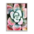 thumbnail image 1 of Succulent Plant Rain Droplet Botanical & Floral Photograph Gray Framed Art Print Wall Art, 1 of 7