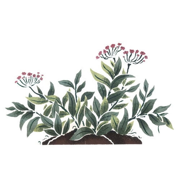 Succulent Plant Wall Stencil - DEE329 by DeeSigns