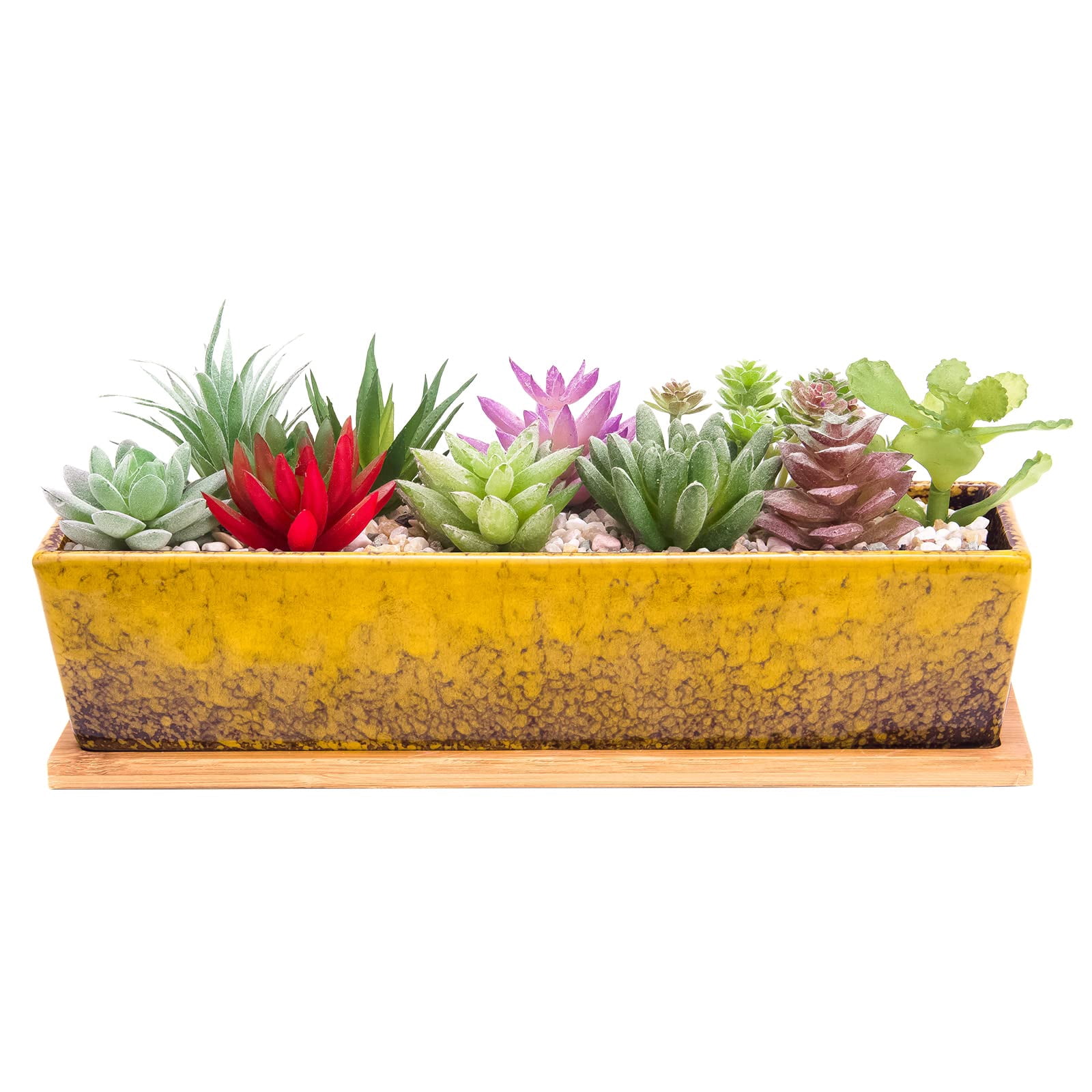 Succulent Planter Pots Large Rectangular Ceramic Cactus Flower Pot with Drainage and Bamboo Tray 12 Inch Shallow Bonsai Window Box for Home Garden Decor