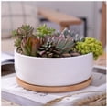 thumbnail image 1 of Succulent Planter - Round, 1 of 4