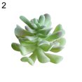 thumbnail image 1 of Succulent Plants , 1Pc Artificial Succulent Plant Bonsai Stage Garden Home Party Desktop Decoration Real Live Potted Succulents / Unique Indoor Cactus Decor by Plants for Pets, 1 of 8