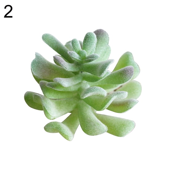 Succulent Plants , 1Pc Artificial Succulent Plant Bonsai Stage Garden Home Party Desktop Decoration Real Live Potted Succulents / Unique Indoor Cactus Decor by Plants for Pets