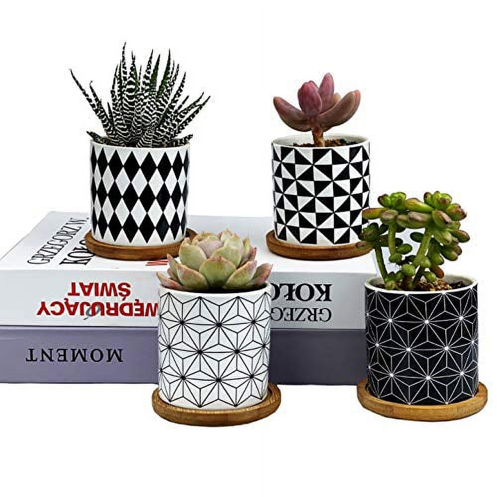 Succulent Plants Pots，3.2 Inch Planter Pots Geometry Pots for Plants Flower Pots Indoor&Outdoor Ceramic Plants Pots for Cactus with Drain Hole and Bamboo Tray ，Perfect Gift Idea Set of 4 - image 1 of 7
