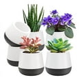 Succulent Pots 3 Inch Self Watering Plant Pot Cactus Planter Pots