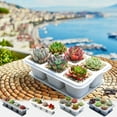 thumbnail image 1 of Succulents Pots under $5! Yannianjz Succulents Pots, Mini Flower Plant Containers for Succulents Cactus Flower, Indoor Outdoor Succulents Plant Pots with Tray, for Home Garden Kitchen Decor, 1 of 9