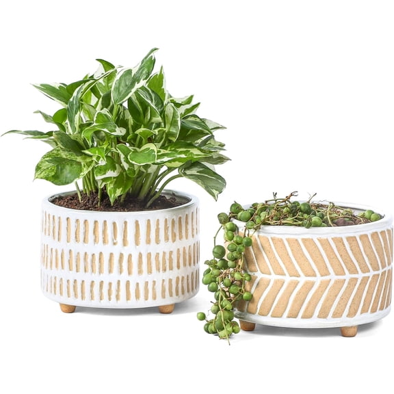 Succulent Pots, 6 Inch Pot for Indoor Plants, Footed Pots for Plants with Drainage, Succulents or Small Plant Indoor Plant Pots, Set of 2