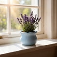 thumbnail image 1 of Succulent Pots Flower Pots Flower Pots for Succulents, Mini Plastic Planters with Decorative Crochet Pattern, Indoor Outdoor Use, Small Pots for Cacti Herbs, DIY Craft Ornament, Single Pot, Blue, 1 of 7