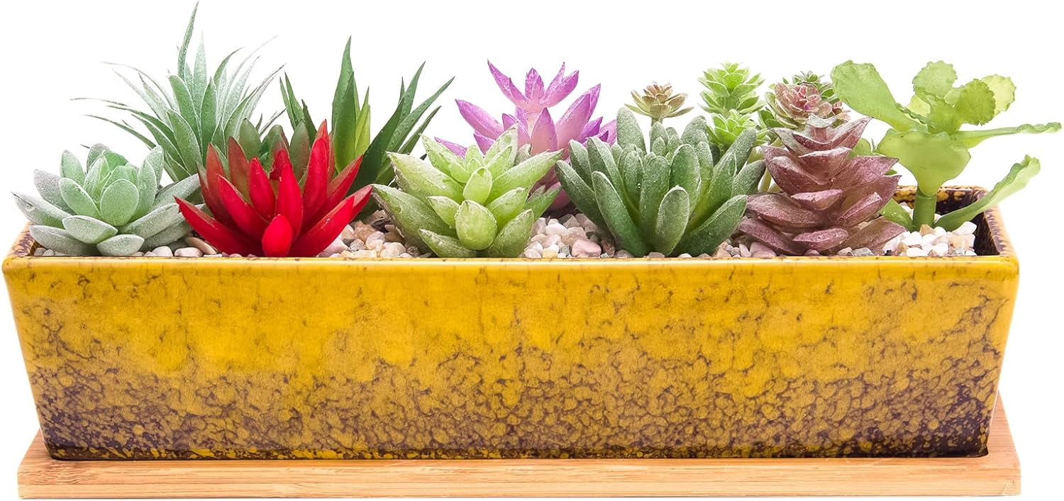 Succulent Pots - Large Succulent Planter Pots with Drainage, 12 Inch Long Rectangle Bonsai Pot with Bamboo Tray Shallow Ceramic Cactus Flower Planter Window Box for Home Garden Decor (Yellow)