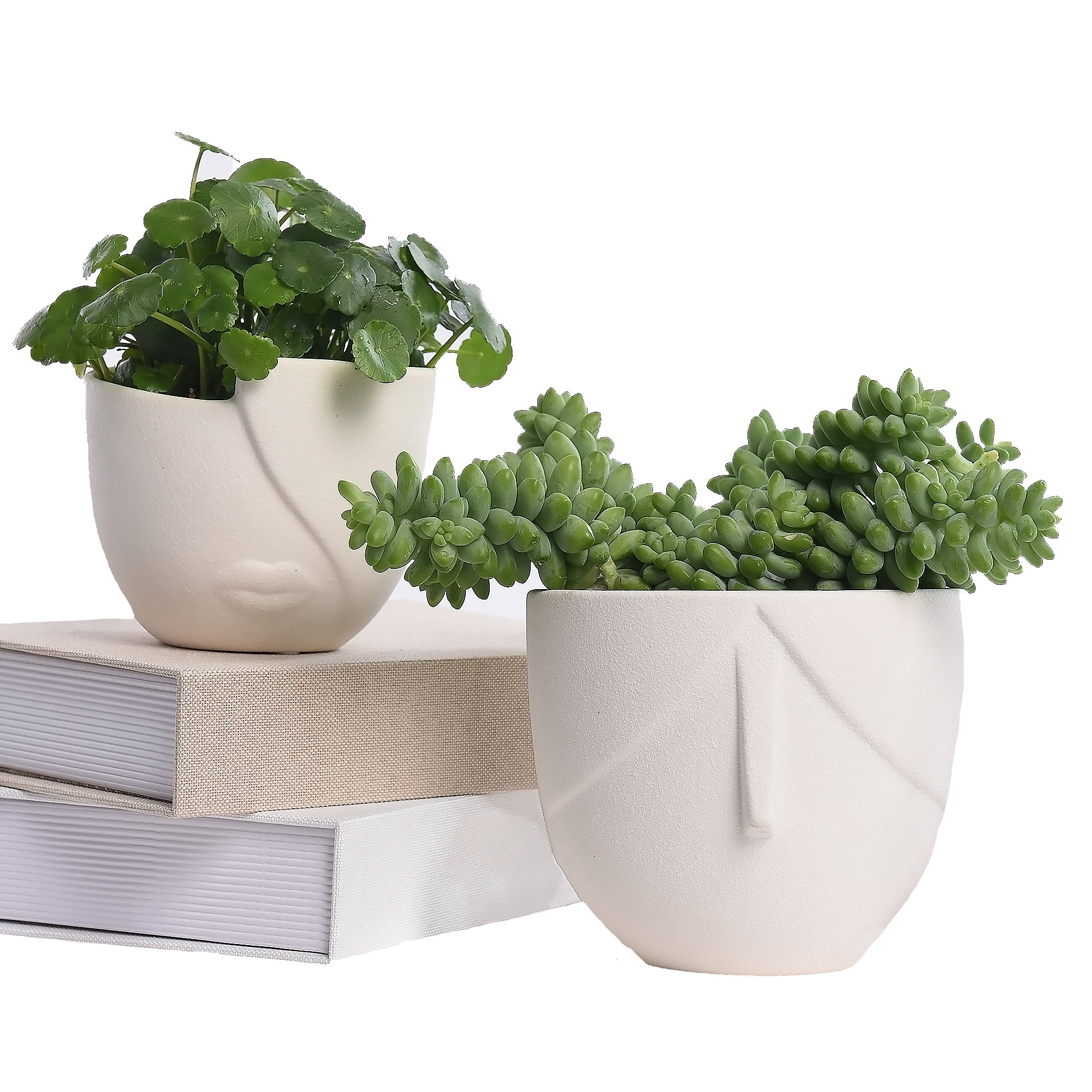  Port&Petal Small Succulent Pots with Drainage (Set of