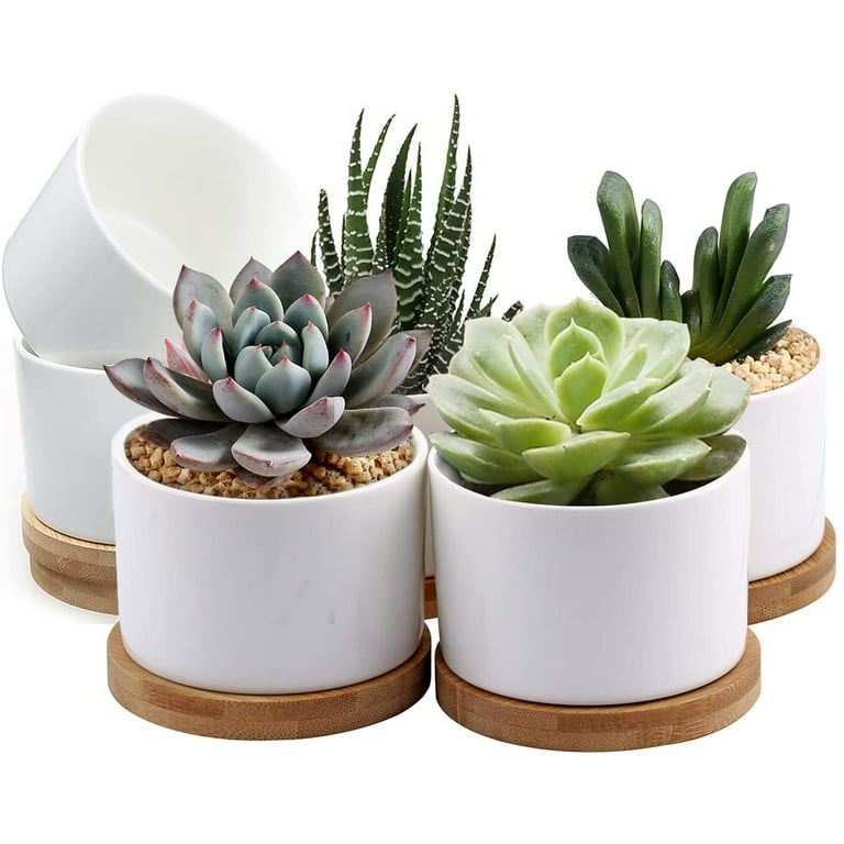 MyGift Mini Artificial Succulent Plants in White Ceramic Pots with Bamboo Saucers, Set of 3 (Assortment 4)