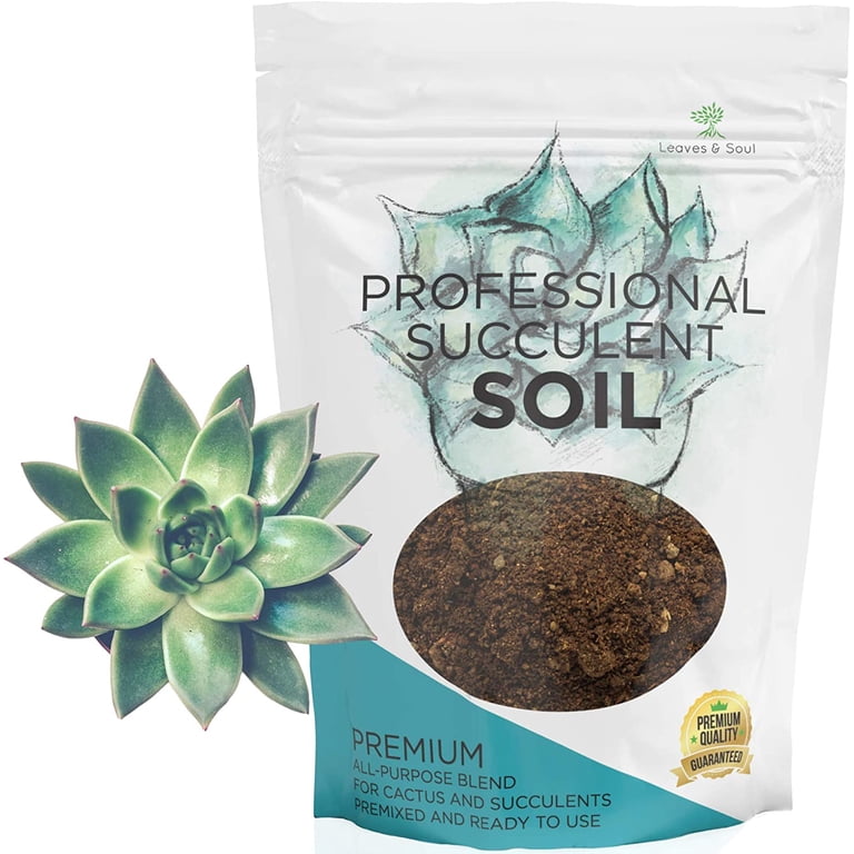 Succulent Potting Mix All Purpose Soil for Indoor Plants, 2.2 Quart Bag -  Walmart.com