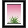 thumbnail image 1 of Succulent Simplicity I Pink Ombre Crop 2x Matted 20x24 Black Ornate Framed Art Print by Bradley, Felicity, 1 of 2