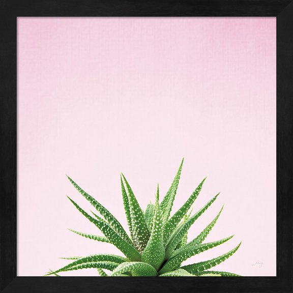 Succulent Simplicity I on Pink by Felicity Bradley, Framed Wall Art, 13.25W x 13.25H