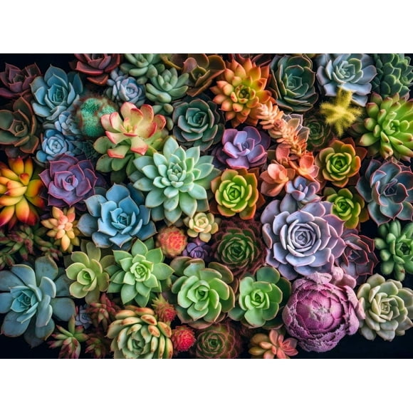 Succulent Symphony: 1000 Piece Jigsaw Puzzle for Adults - Eco-Friendly, Colorful Artwork Puzzle by Cross & Glory - Brain Teasing Fun & Perfect Wall Art
