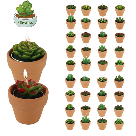 Succulent Tealight Candles with Terracotta Pot, Creative or Novelty, 36 Packs Handmade Decorative Candle as Housewarming Wedding Party Baby Shower Gifts Y101