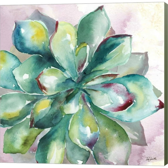 Succulent Watercolor I by Tre Sorelle Studios, Canvas Wall Art