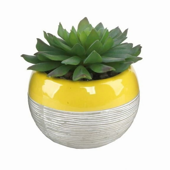 Succulent in Two Tone Lines Pattern Ceramic Pots, Yellow