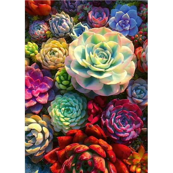 Succulents Diamond Art Kits for Adults Beginners, Round 5D DIY Paint with Diamonds Pictures Gem Art Kits for Home Decor 12x16 inch