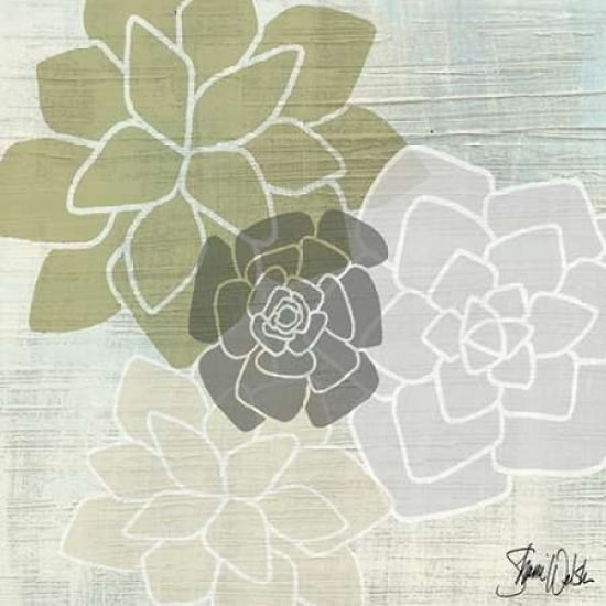 Succulents IV Canvas Art - Shanni Welsh (24 x 24)