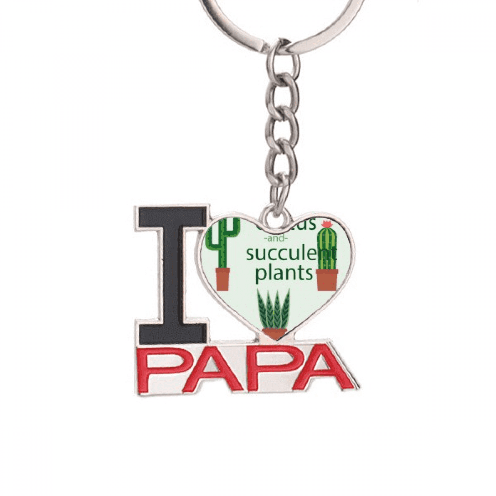PULABO Cute Cactus & Succulent Keychain | Enamel Potted Plant Key Ring, 1.6x1.3cm, Colorful Gift D1115-4