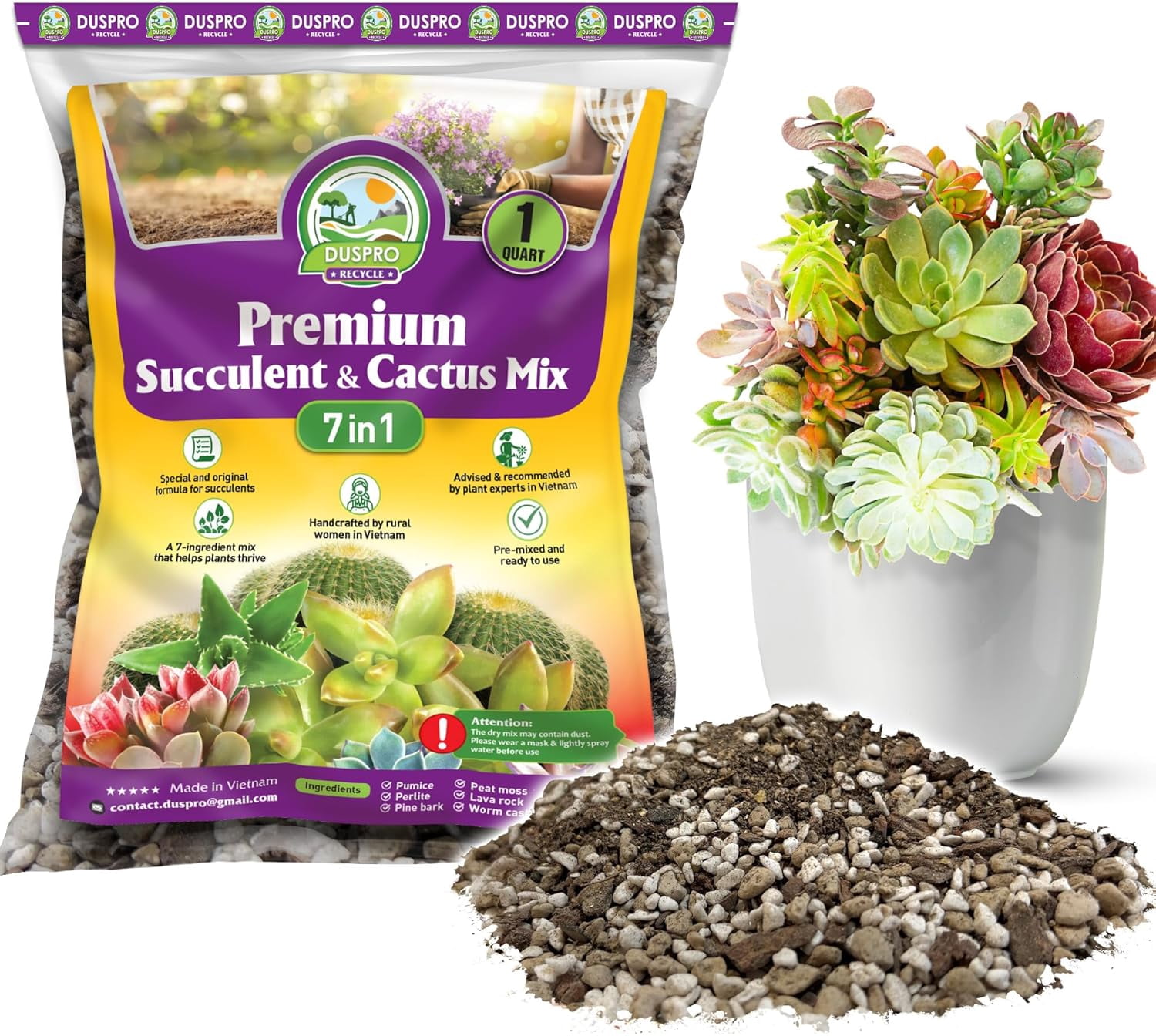 Cactus Soil