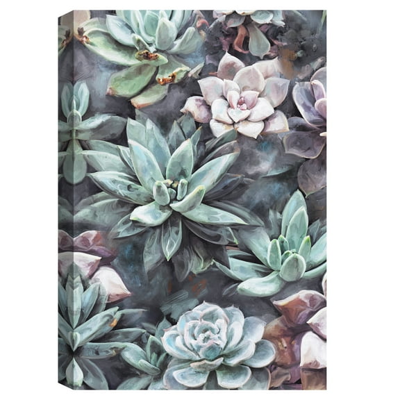 Succulents on Gray by Studio Arts Canvas Art Print