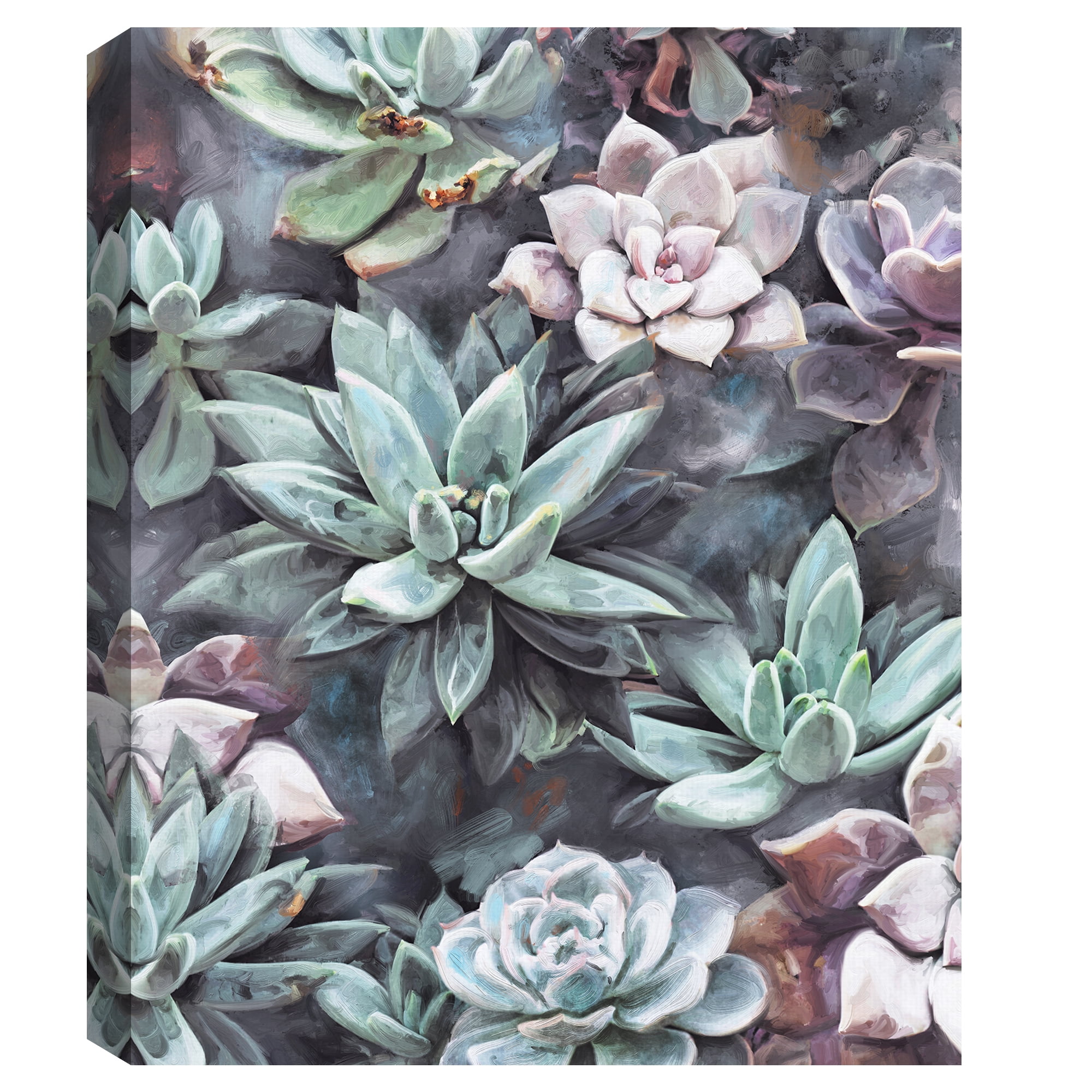 Succulents on Gray by Studio Arts Canvas Art Print