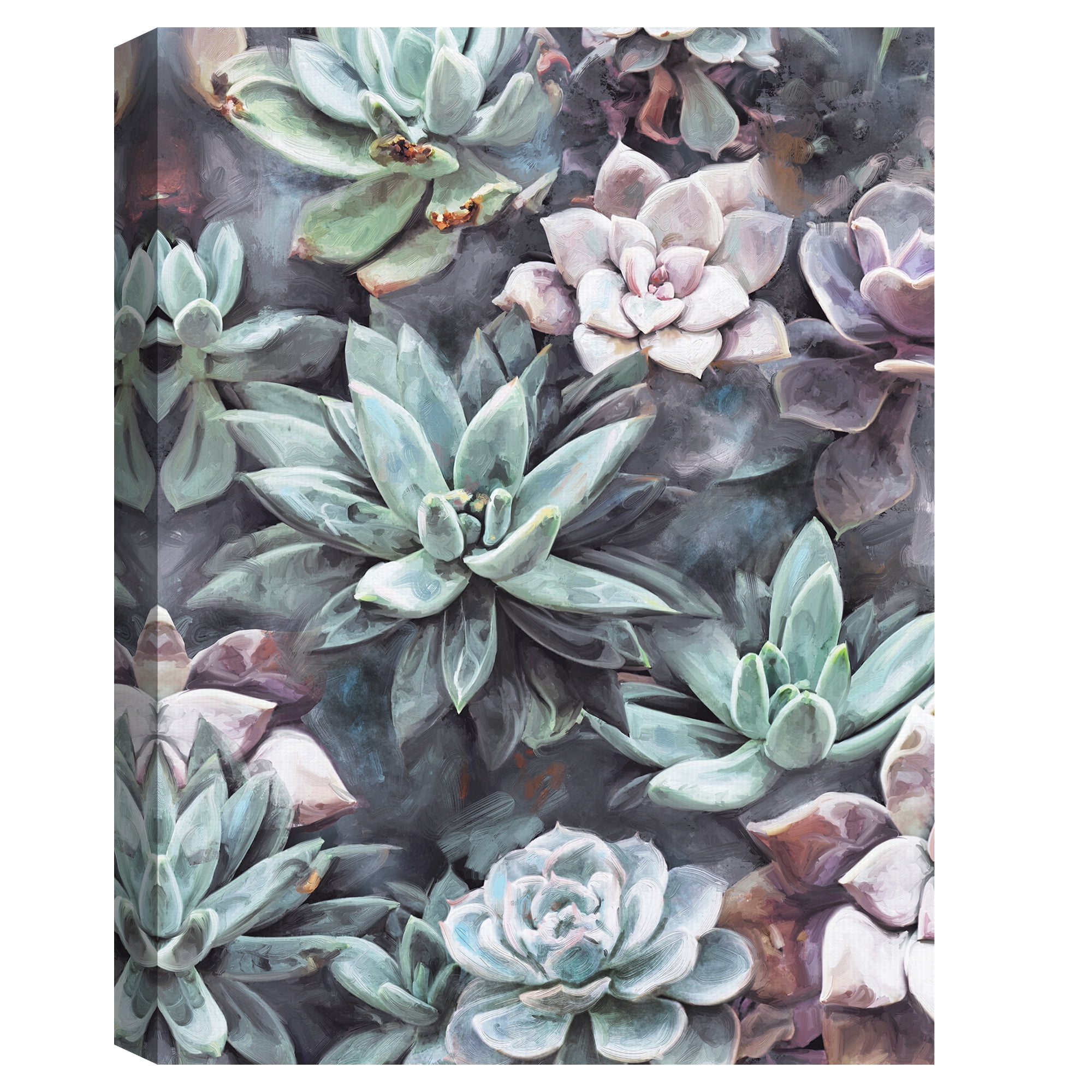 Succulents on Gray by Studio Arts Canvas Art Print