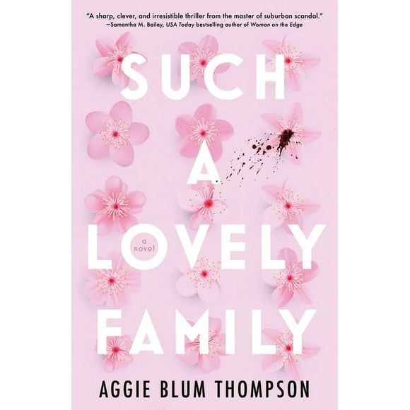 Such a Lovely Family (Paperback)