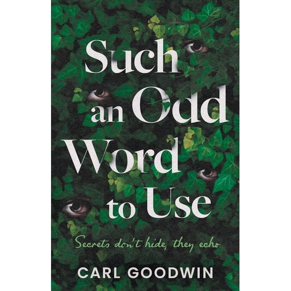 Such an Odd Word to Use: Secrets don't hide, they echo, (Paperback)