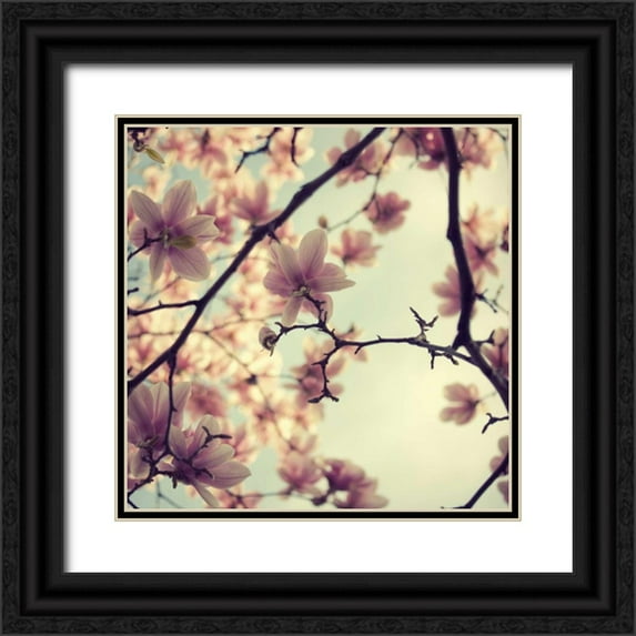 Suchocki, Irene 15x15 Black Ornate Wood Framed with Double Matting Museum Art Print Titled - Pink Blossoms