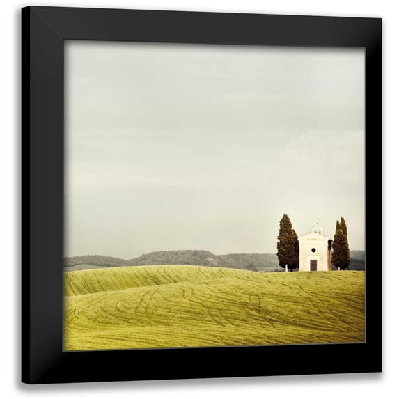Suchocki, Irene 20x20 Black Modern Framed Museum Art Print Titled - Pastoralia