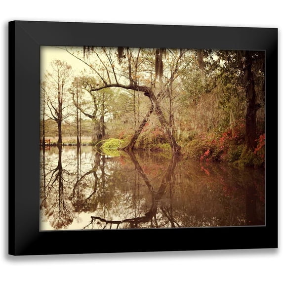 Suchocki, Irene 24x20 Black Modern Framed Museum Art Print Titled - Deep South I