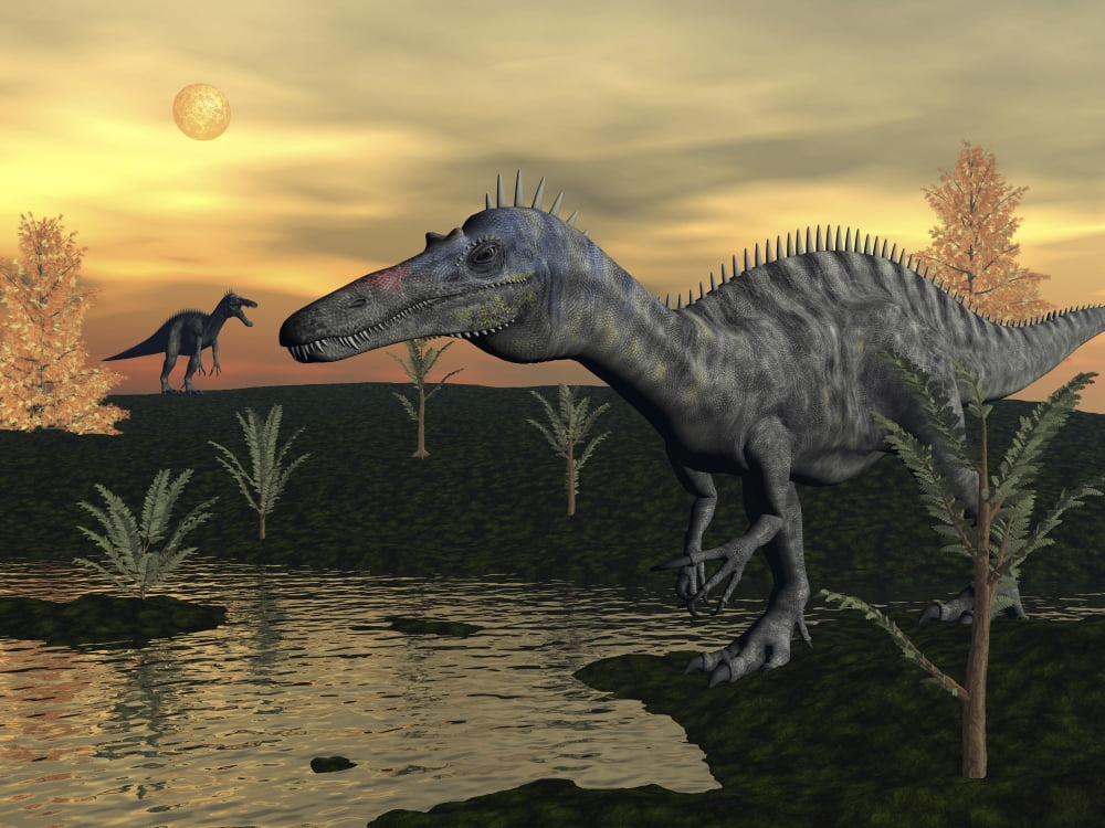 Suchomimus dinosaurs walking next to pond at sunset Canvas Art - Elena DuvernayStocktrek Images (17 x 13)