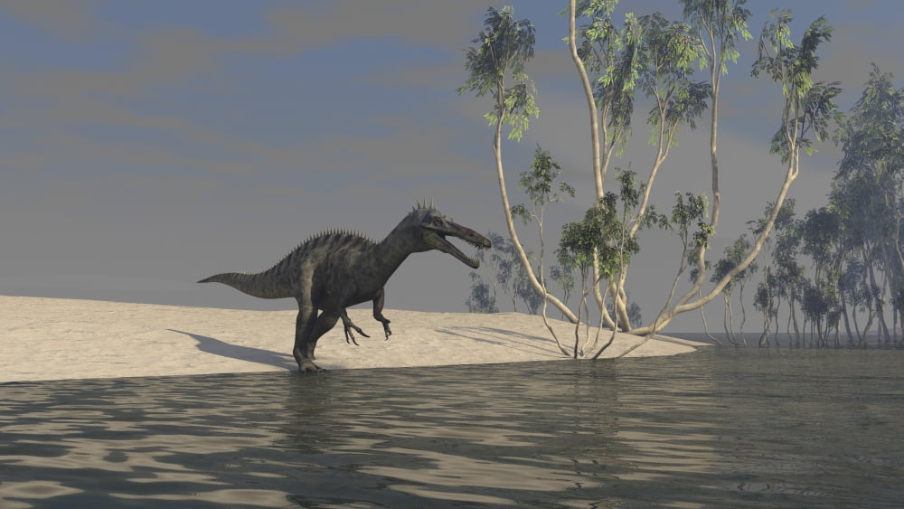 Suchomimus hunting for food at the edge of a lake Canvas Art - Kostyantyn IvanyshenStocktrek Images (19 x 11)