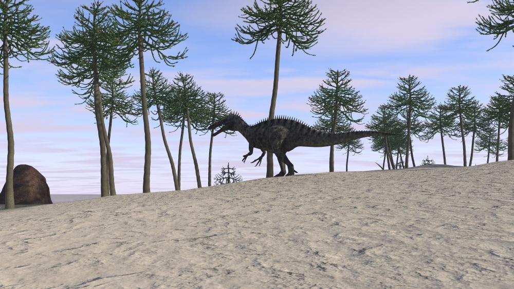 Suchomimus in a prehistoric environment Canvas Art - Kostyantyn IvanyshenStocktrek Images (19 x 11)