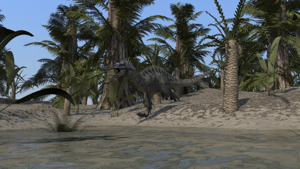 Suchomimus running along the sho Canvas Art - Kostyantyn IvanyshenStocktrek Images (38 x 22)