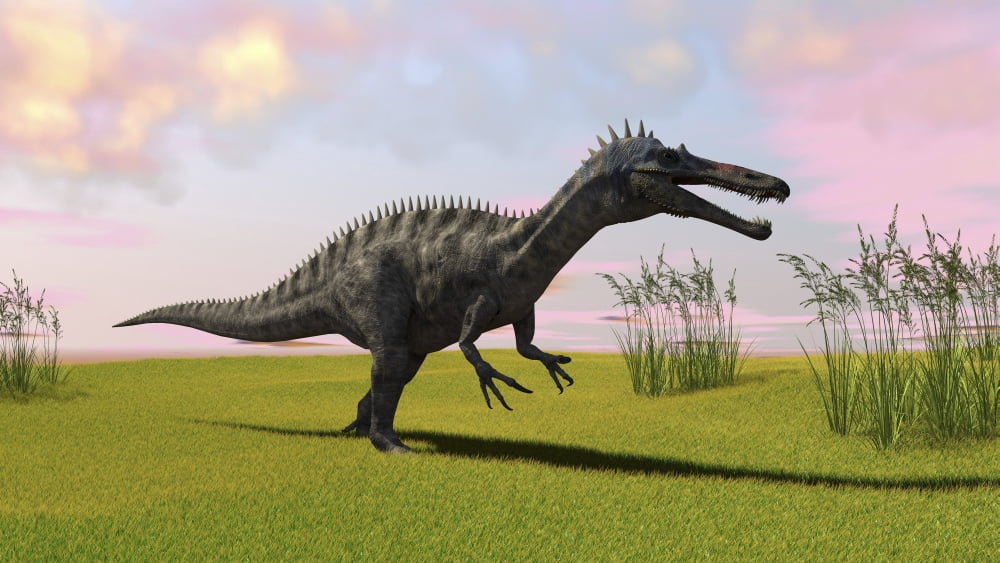 Suchomimus walking across a grassy field Canvas Art - Kostyantyn IvanyshenStocktrek Images (19 x 11)