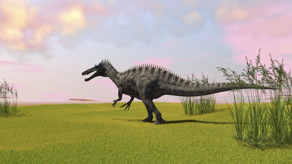 Suchomimus walking across a grassy field Canvas Art - Kostyantyn IvanyshenStocktrek Images (19 x 11)