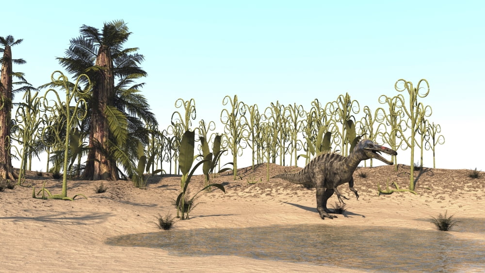 Suchomimus walking through a desert environment Canvas Art - Kostyantyn IvanyshenStocktrek Images (38 x 22)