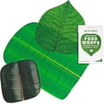 thumbnail image 1 of Suck UK | Leaf-Shaped Beeswax Wraps | Eco Friendly Beeswax Wrap | Reusable Food Storage | Kitchen Organization | Food Storage Containers | Reusable Pantry Storage, 1 of 8