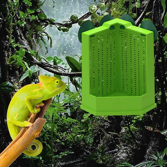 Suction Cup Feeding Bowl with Climbing Ladder for Lizards Geckos Frogs and Small Pets