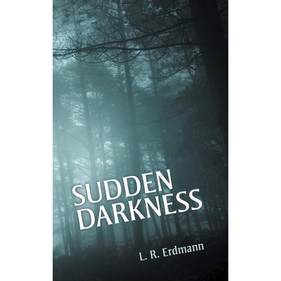 Sudden Darkness (Paperback)