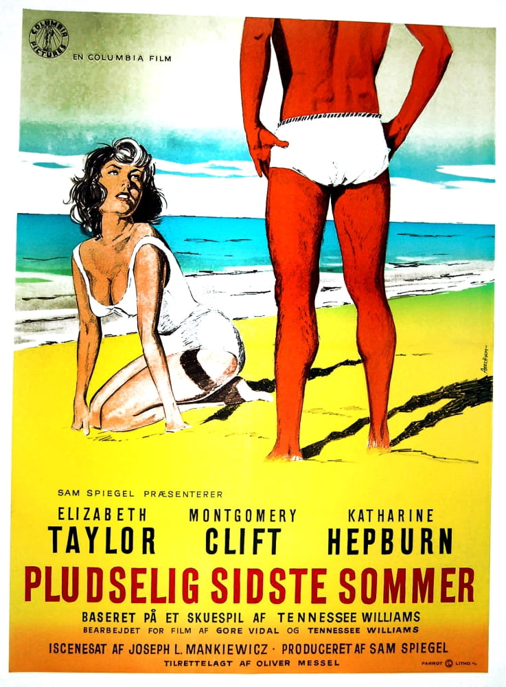 Suddenly Last Summer Canvas Art - (11 x 17)
